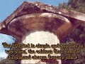 Ancient Greek Architecture