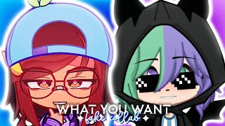 What You Want - Meme Fake Collab W