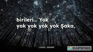 Lvbelc5 - Dubaiiiii Sansürlü
