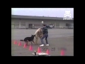 Police dog training blooper