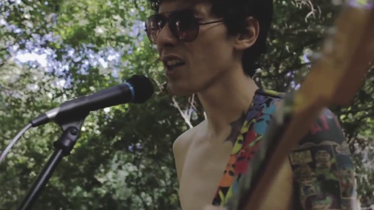 The Beverleys - Visions I Music Video