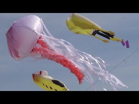 International Kite Festival