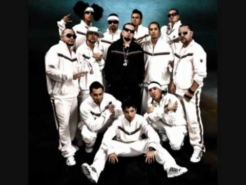 VIDEOS DE MUSICA DE LOS KUMBIA KINGS videos de musica de los kumbia kings: