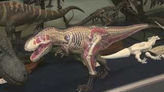 지질박물관 특별기획전 '모형으로 만나는 공룡의 세계'