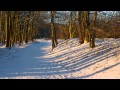 (HD 720p) Vivaldi's Four Seasons, Concerto #4 - Winter, I - Allegro