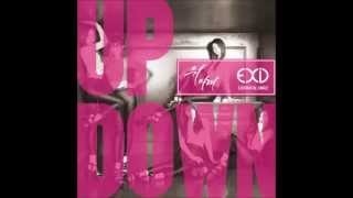 EXID   UP & DOWN [AUDIO]