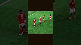 8jmFzQfRyX4 Video Image