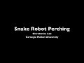 perching robot