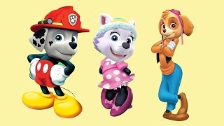 Paw Patrol Transforms Into Mickey Mouse Finger Family Song Finger Family Nursery Rhymes Lyric