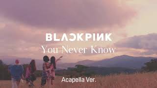 [Clean Acapella] BLACKPINK - You Never Know