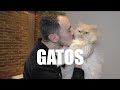 GATOS