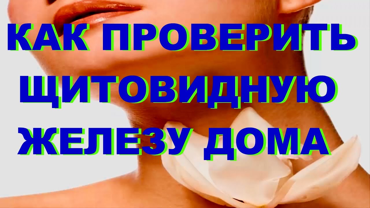 Лечения щитовидной железы в домашних условиях Лечения щитовидной железы в домашних условиях