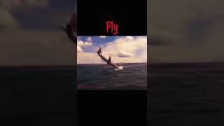 Flightless Birds 737 Max 8 Edit