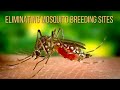 Eliminating Mosquito Breeding Sites