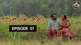 Panamankada Episode 51 || 16th January 2022