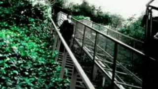 Watch Hum Green To Me video