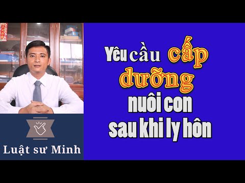 Đòi cấp dưỡng nuôi con sau khi ly hôn | Luật sư Minh