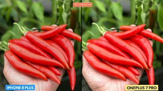 Oneplus 7 Pro vs IPhone 8 Plus Camera Comparison Test || #oneplus7pro, #Iphone8plus, #TECHBUKHAR