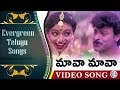 Mava Mava Video Song || Evergreen Telugu Songs - Big Boss Movie || Chiranjeeevi, Roja