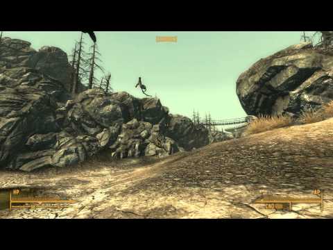 Fallout Video