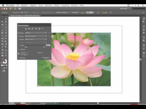 Corso Illustrator CS6 - La funzione ricalco immagine: opzioni di base e predefiniti