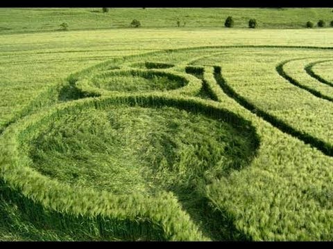 New swirled order (crop circle documentary 2009)