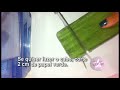 Flores de Papel