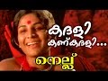 Kadali Kankadali... |  Malayalam Movie  Nellu | Movie Song | Jayabharathi | Mohansharma