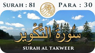 81 Surah Al Takwir  | Para 30 | Visual Quran With Urdu Translation
