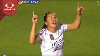 8mpYkZnUfss Video Image