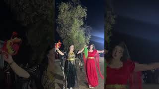 Şırnak Silopi Düğünleri .
