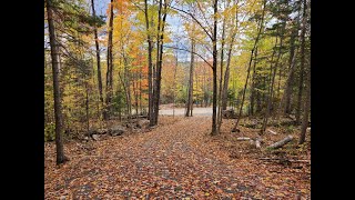 Lot 1 Algonquin Heights