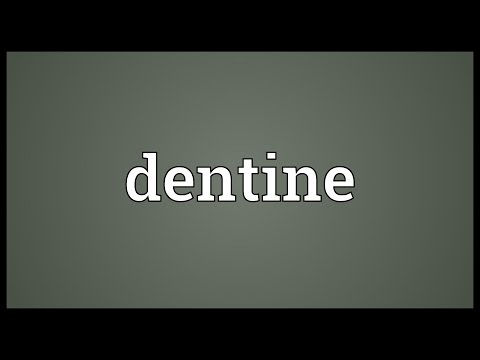 Header of dentine