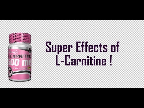 carnitine carnitine