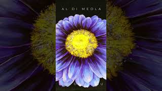 Another Flower From The Full Bouquet That Is Al Di Meola's 'Twentyfour' Has Bloomed: 'For Only You'.