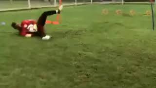 8niBTE8NWok Video Image