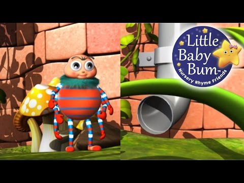 incy wincy spider (itsy bitsy spider) - nursery rhymes and children's songs