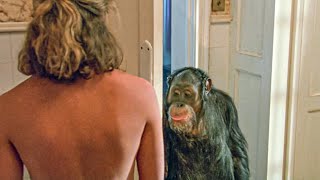 House  Of Chimpanzees Take Over & Seduce Girl To Mate
