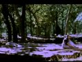 Ranker Video