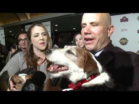 Uggie wins Best Movie Dog at the Golden Collar Awards