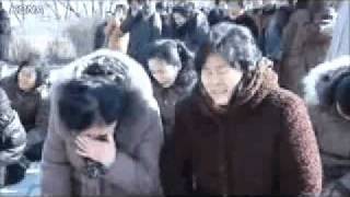 8oNzERDNllM Video Image