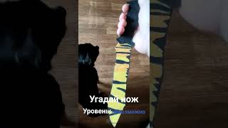 Угадай Нож Из Кс Го Уровень: Невозможно