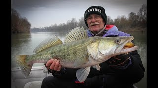76yrs old catches biggest zander of his life and cannot hold back tears!