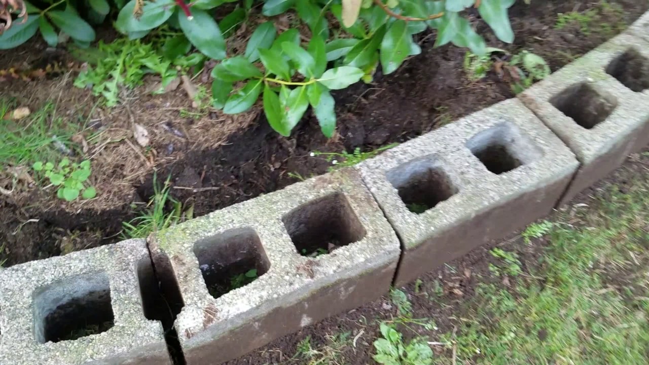 Как сделать бордюр для клумбы своими руками из цемента Как сделать бордюр для клумбы своими руками из цемента