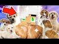 Going Viral! | MyStreet Lover's Lane [S3 Ep.20 Minecraft Role...