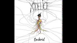 Watch Yodelice Lady In Black video