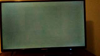 Opening To Andre 1995 Vhs