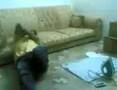 EL EFECTO PLANCHA-MÓVIL video
