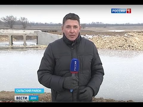 прогноз клева рыбы в сальске и сальском районе прогноз клева рыбы в сальске и сальском районе