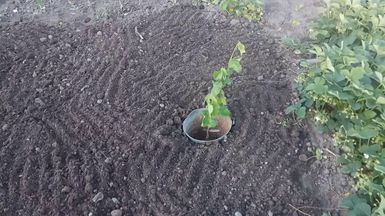 Сделать своими руками межкомнатную дверь купе своими руками 85